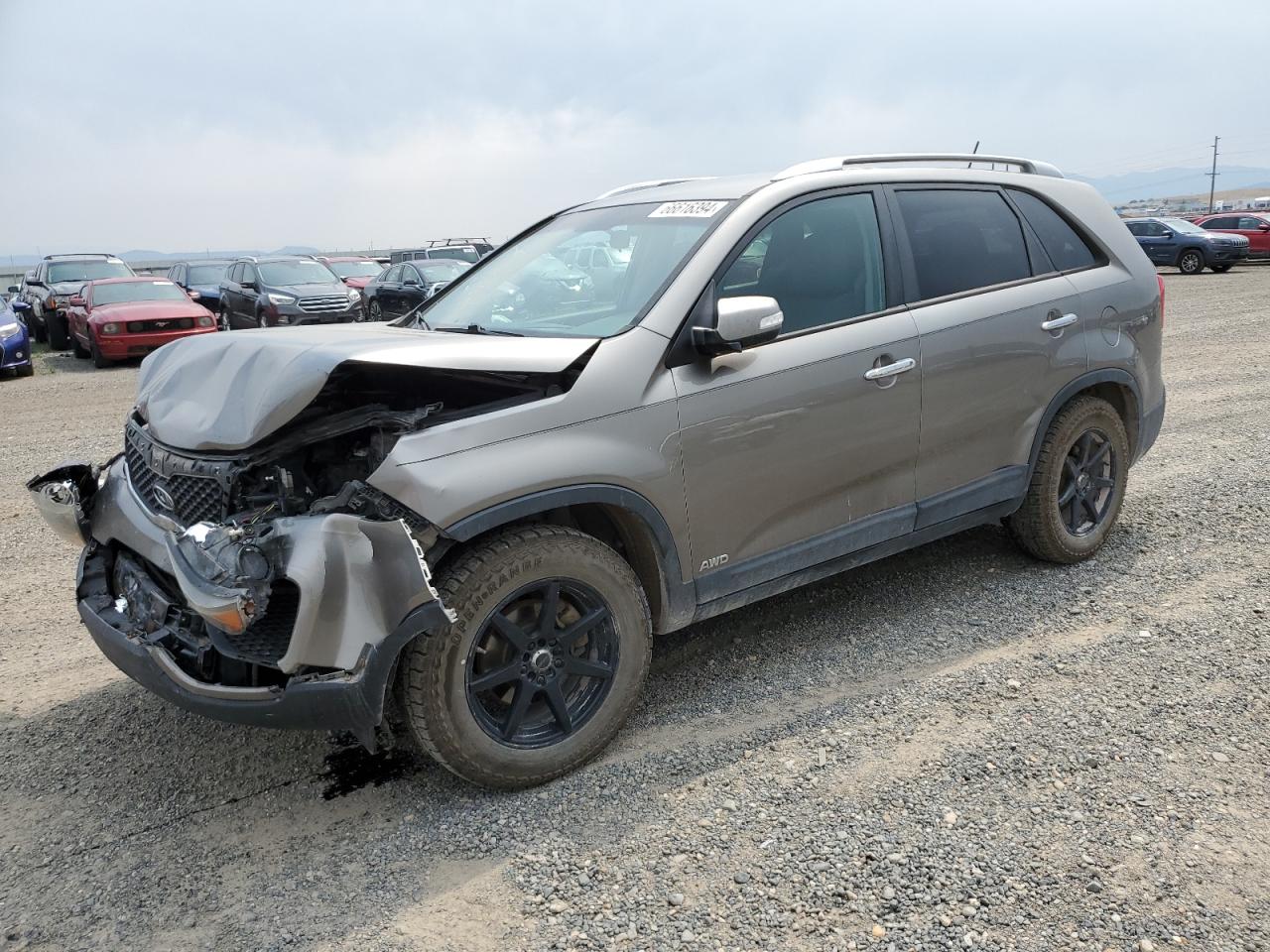 Lot #2786865435 2013 KIA SORENTO LX