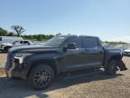 2023 TOYOTA TUNDRA CRE - 5TFNA5DB2PX087283