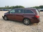 HONDA ODYSSEY EX photo