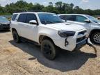 TOYOTA 4RUNNER SR photo