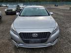 HYUNDAI SONATA HYB photo