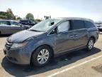 HONDA ODYSSEY EX photo