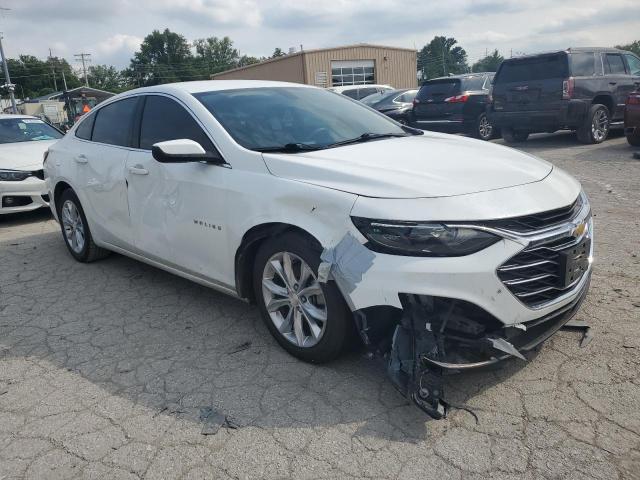 2019 CHEVROLET MALIBU LT - 1G1ZD5ST1KF151244