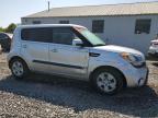 KIA SOUL photo