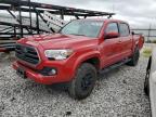 2019 TOYOTA TACOMA DOU - 3TMCZ5AN7KM287055