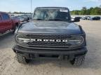 FORD BRONCO BAS photo