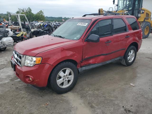 Vin: 1fmcu0d71akd26884, lot: 67463594, ford escape xlt 2010 img_1
