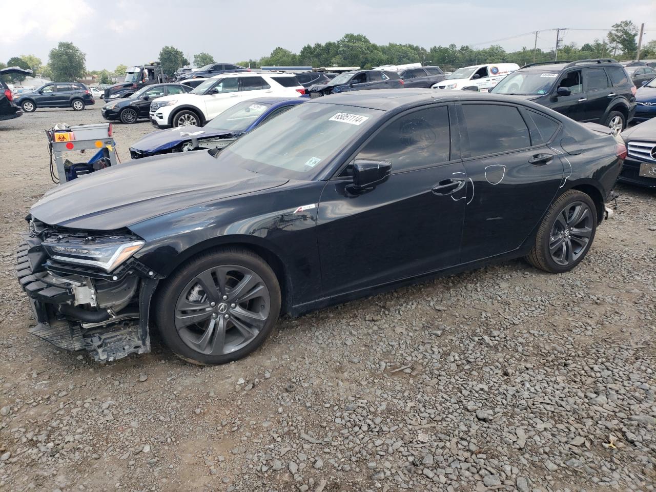 Lot #2945161680 2023 ACURA TLX TECH A