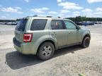 FORD ESCAPE HEV photo