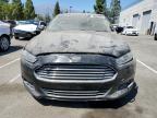 FORD FUSION SE photo