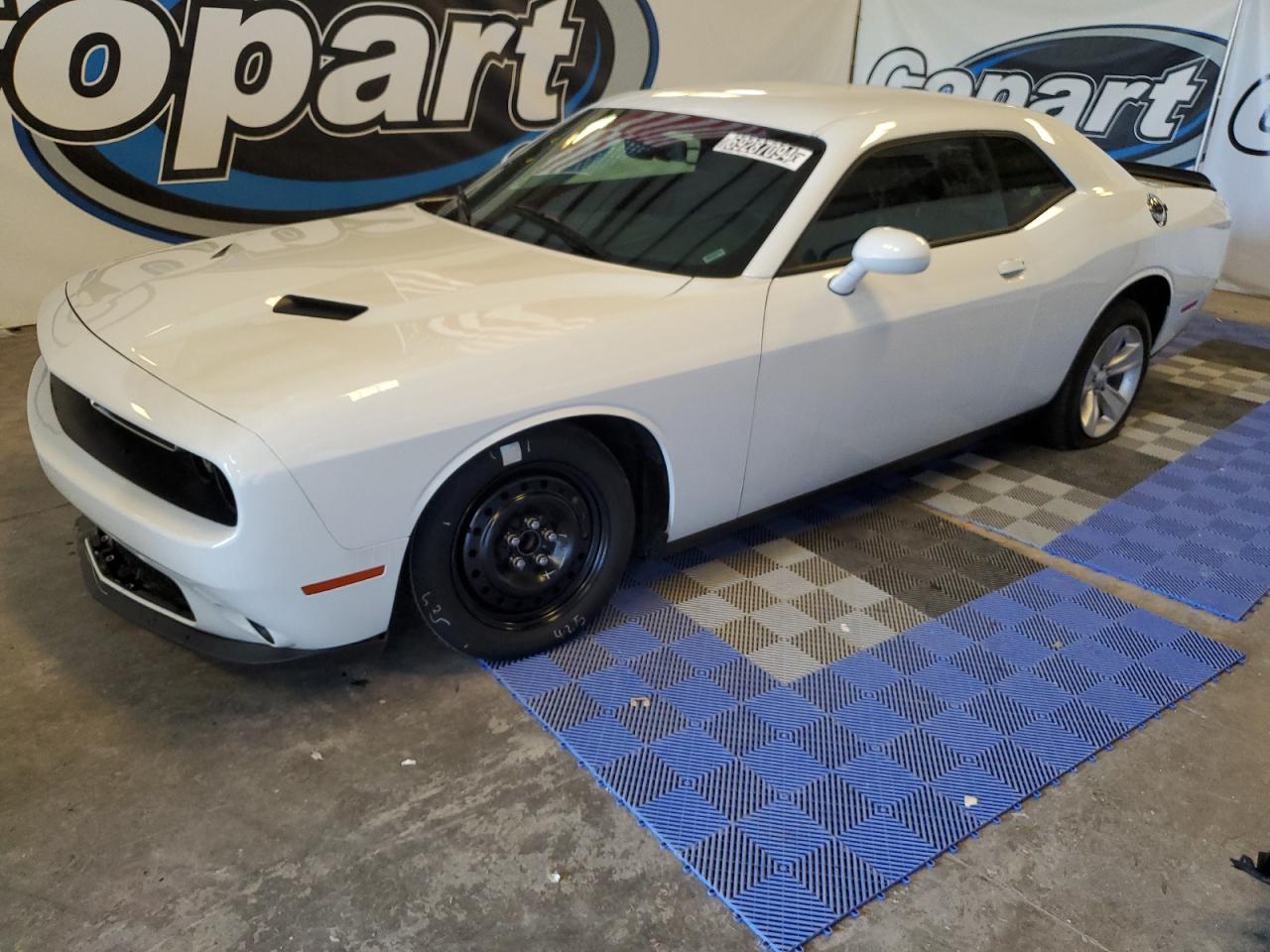 Lot #2848592956 2023 DODGE CHALLENGER