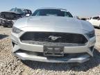 Lot #3023273211 2019 FORD MUSTANG