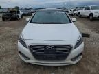 HYUNDAI SONATA HYB photo