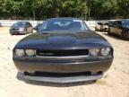 DODGE CHALLENGER photo