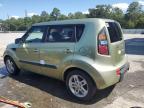 KIA SOUL + photo