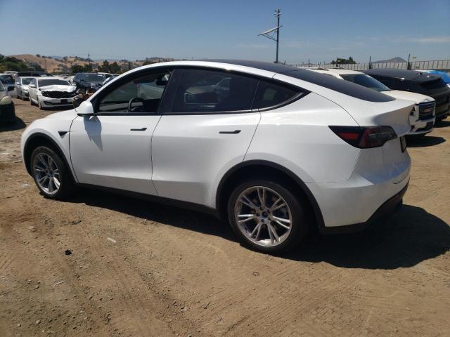 2023 TESLA MODEL Y - 7SAYGDEE5PF861196