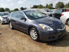 NISSAN ALTIMA BAS photo