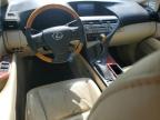 LEXUS RX 350 photo