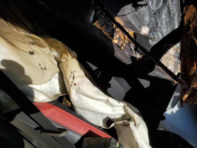 2024 TOYOTA GR 86 TRUE JF1ZNBM12R8752679