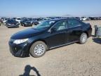 TOYOTA CAMRY L photo