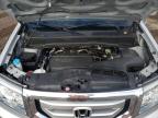 HONDA PILOT EXL photo