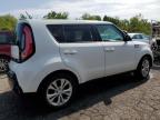 KIA SOUL + photo