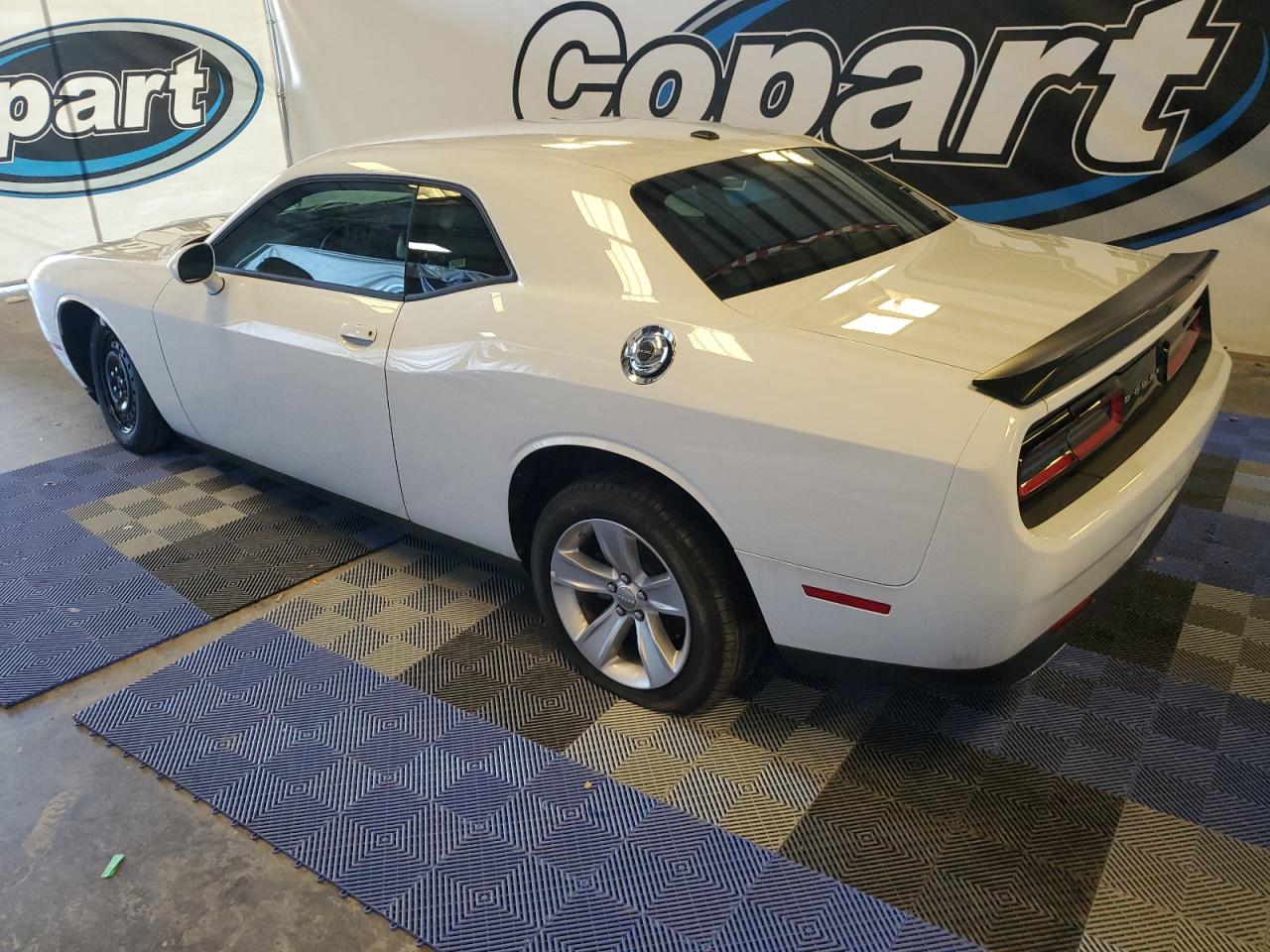 Lot #2848592956 2023 DODGE CHALLENGER