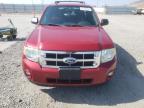 FORD ESCAPE XLT photo