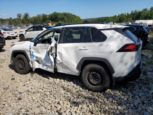 2019 TOYOTA RAV4 LE - 2T3F1RFV1KC026752