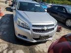 CHEVROLET MALIBU 2LT photo