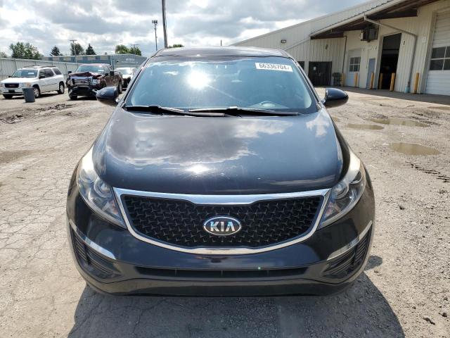 2016 KIA SPORTAGE L KNDPB3AC0G7795071  66336704