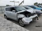 KIA SOUL + photo