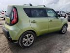 KIA SOUL + photo