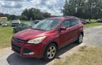 FORD ESCAPE SE photo