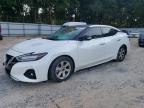 2022 NISSAN MAXIMA PLA - 1N4AA6FV7NC504063