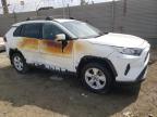 TOYOTA RAV4 XLE снимка