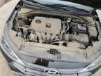 Lot #2972739611 2020 HYUNDAI ELANTRA SE