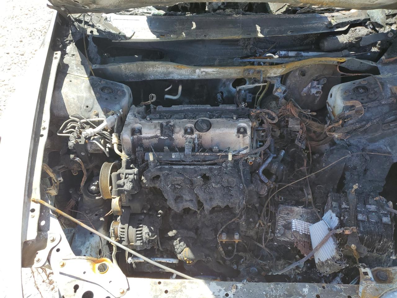 Lot #3276476169 2009 HONDA ACCORD LX