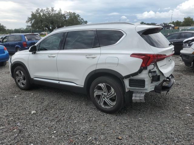 2023 HYUNDAI SANTA FE S 5NMS34AJ7PH533780  68523974