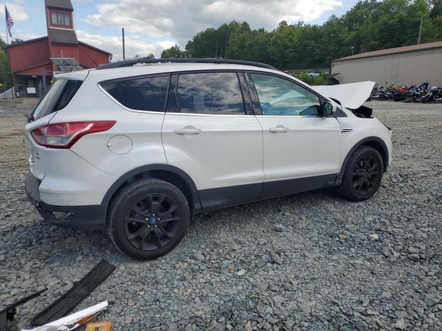 VIN 1FMCU9G9XDUB92323 2013 Ford Escape, SE no.3