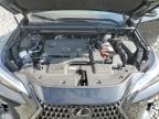 LEXUS NX 250 BAS photo