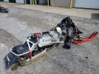 POLARIS SNOWMOBILE photo