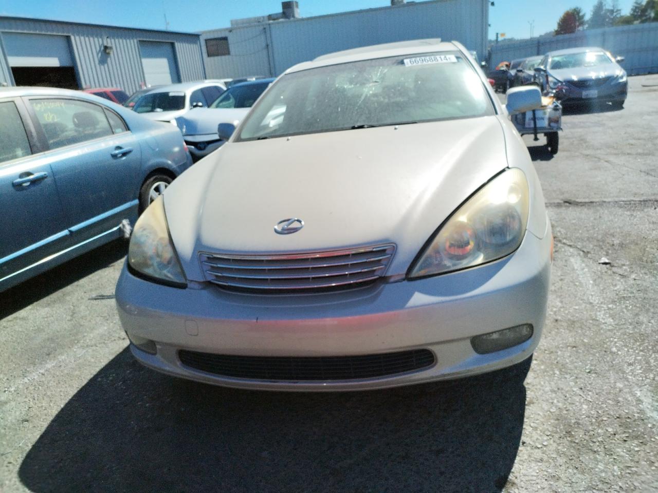 Lot #2976911568 2003 LEXUS ES 300