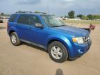 FORD ESCAPE XLT photo