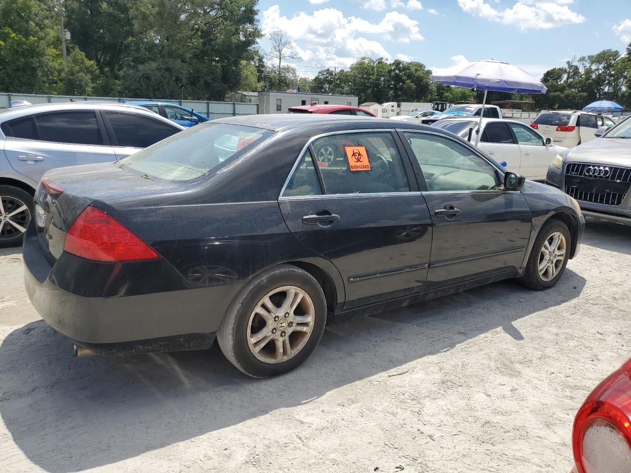 Lot #2945176695 2006 HONDA ACCORD SE