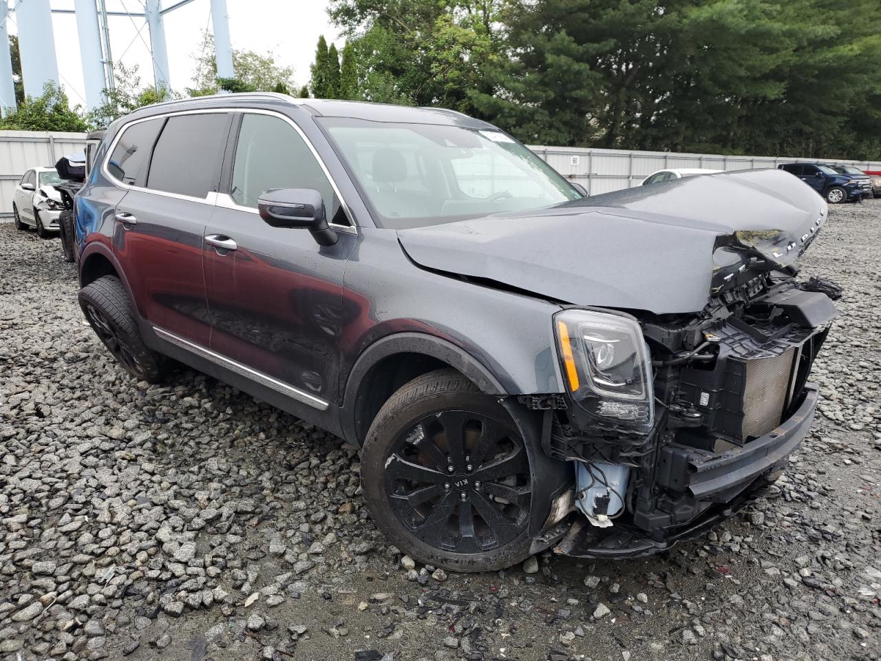 Lot #2754001969 2020 KIA TELLURIDE