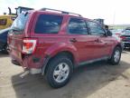 FORD ESCAPE XLT снимка