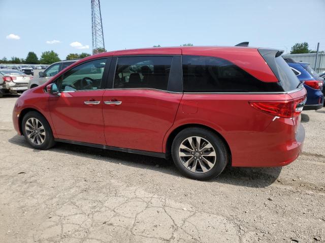 HONDA ODYSSEY EX 2024 red  gas 5FNRL6H6XRB054799 photo #3