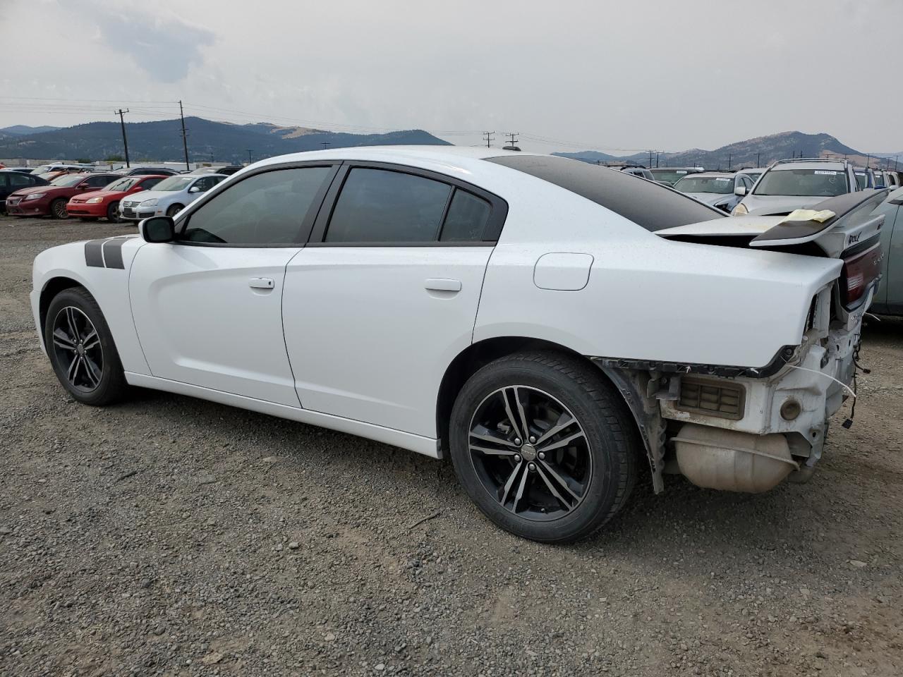 Lot #2806992813 2014 DODGE CHARGER SX