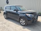 KIA SOUL photo